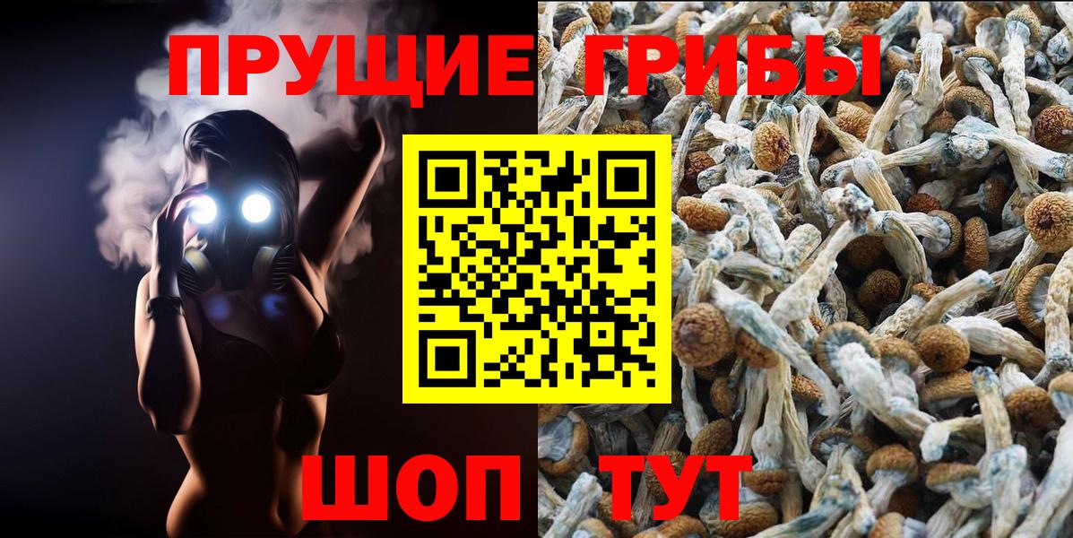 Галлюциногенные грибы Magic Shrooms  Вход с VPN  Губкин 